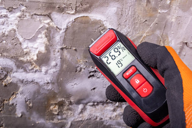Best Mold Testing  in Smithville, MO