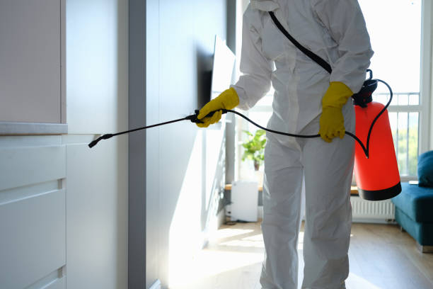 Best Mold Removal Process  in Smithville, MO
